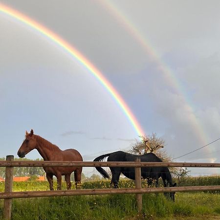 Affittacamere La Laiterie Steenwerck Esterno foto