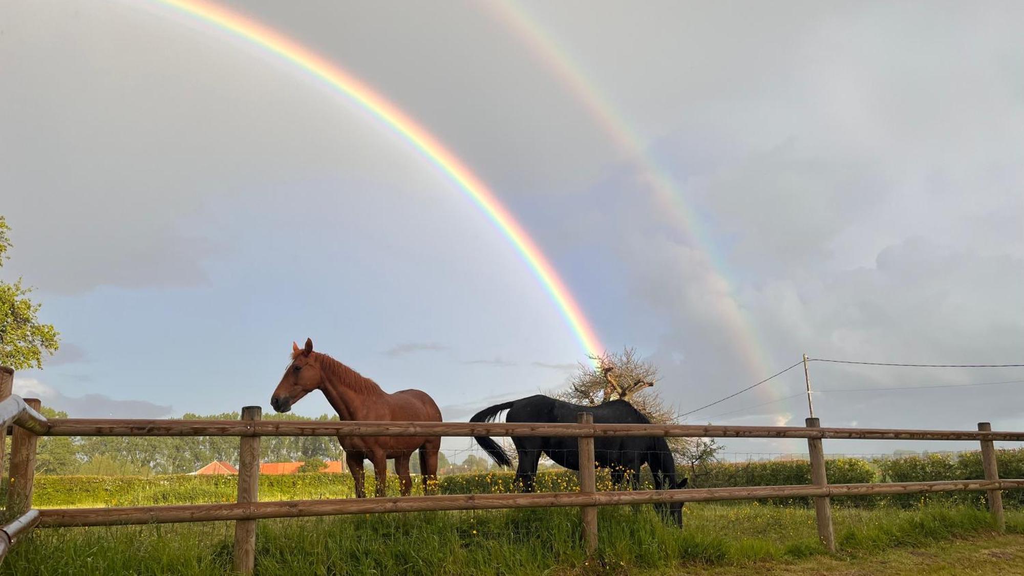 Affittacamere La Laiterie Steenwerck Esterno foto